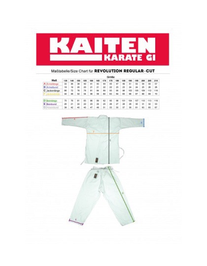KAITEN REVOLUTION Spirit Regular