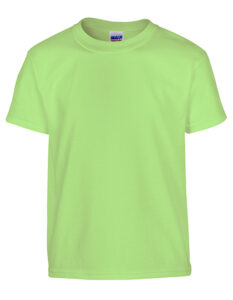 Heavy Cotton™ Youth T-Shirt