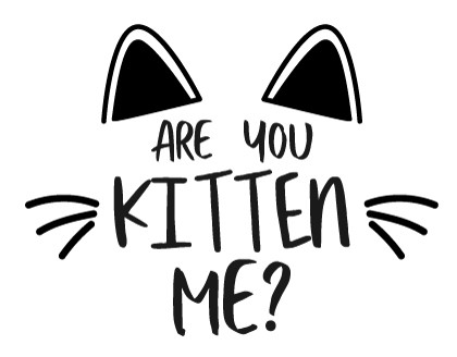 Are you kitten me?