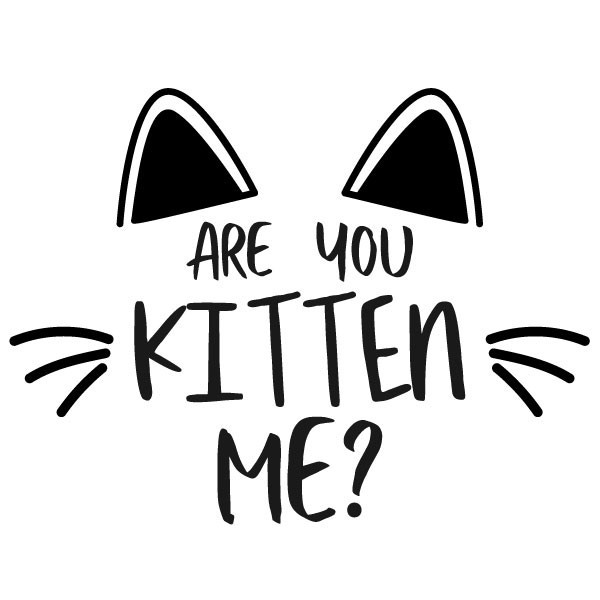 Are you kitten me?